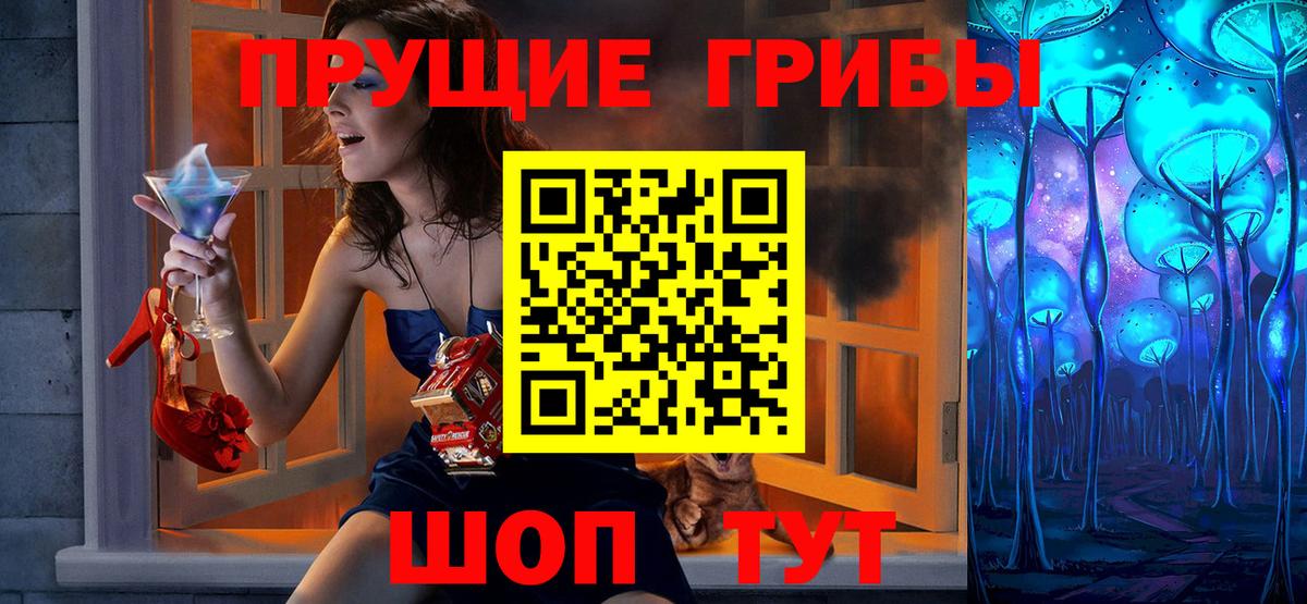 Псилоцибиновые грибы Psilocybe Каспийск