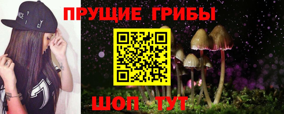 Галлюциногенные грибы MAGIC MUSHROOMS  Вход с VPN  Каспийск 